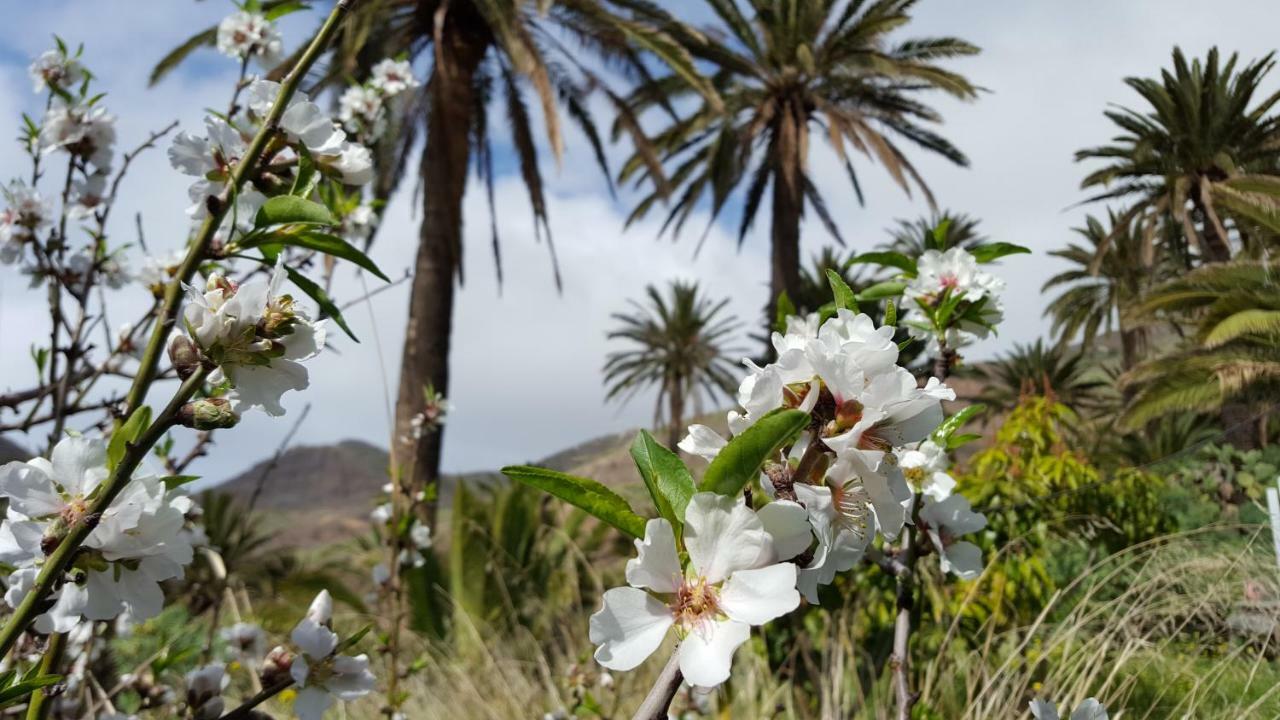 El Pirguan Holiday House, Your Oasis In La Gomera Vallehermoso Exterior foto